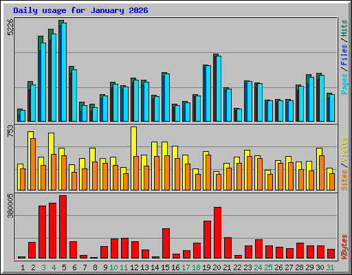 Daily usage for January 2026