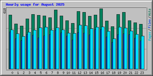 Hourly usage for August 2025