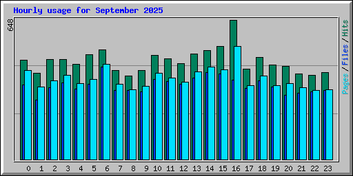 Hourly usage for September 2025