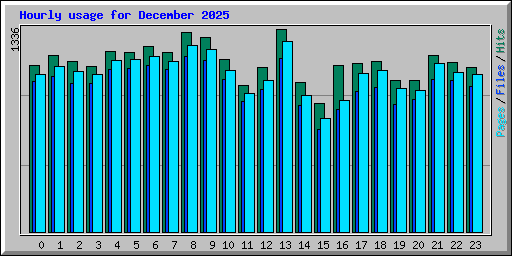 Hourly usage for December 2025