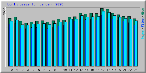 Hourly usage for January 2026