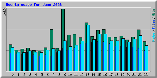 Hourly usage for June 2026